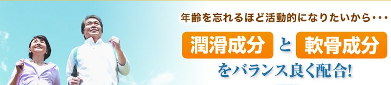 �q�A�������_���O���R�T�~�����T�C�g